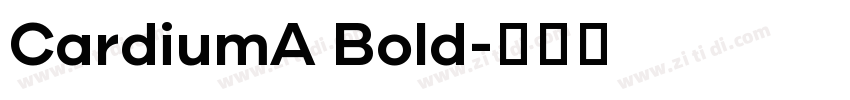 CardiumA Bold字体转换